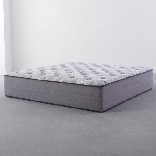 Dream - Mattress (16 Inch), Fabric, Queen - M40016-Q