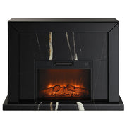 Drisana Fireplace - AC03869