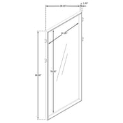 Durango 80-inch Standing Floor Mirror Washed Oak - 223280