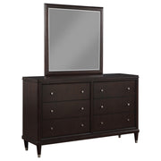 Emberlyn 6-drawer Dresser with Mirror Brown - 223063M