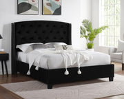 Eva Black Velvet King Upholstered Bed - Lara FurnitureKing Bed