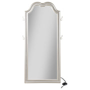 Evangeline Full Length LED Light Floor Mirror Silver Oak - 223400