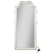 Evangeline Full Length LED Light Floor Mirror Silver Oak - 223400