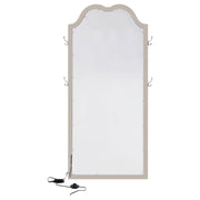 Evangeline Full Length LED Light Floor Mirror Silver Oak - 223400