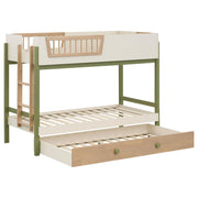 Evren Twin-over-Twin Bunk Bed with Trundle and Ladder Tri-Tone - 460620-SET