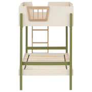 Evren Twin-over-Twin Bunk Bed with Trundle and Ladder Tri-Tone - 460620-SET
