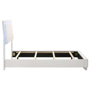 Felicity Wood Twin LED Panel Bed White High Gloss - 203500T