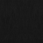 Finley Upholstered Padded Arm Tufted Accent Chair Black - 506553