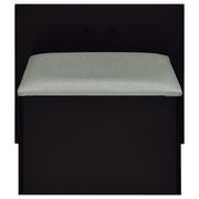 Flora 2-drawer Vanity Set with LED Mirror Black High Gloss - 930219
