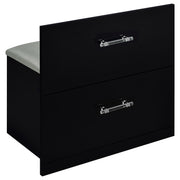 Flora 2-drawer Vanity Set with LED Mirror Black High Gloss - 930219
