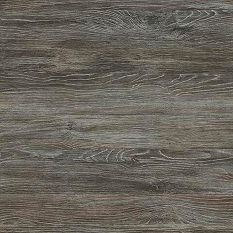 Frandern Black/Gray Queen Panel Bed - B4480B21