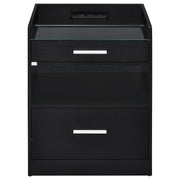 Furda 2-drawer LED Nightstand Bedside Table with Speaker Black Ash - 306132BLK