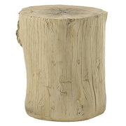 Gene Accent Table - AC03783