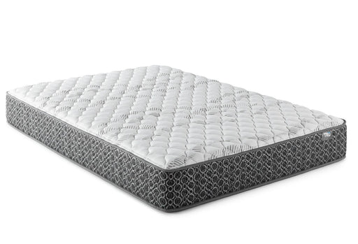 Hayes Queen Firm Tight Top Hybrid Mattress White - 350170Q