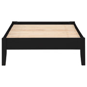 Hounslow Twin Universal Platform Bed Black - 306129T