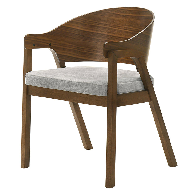 Hoyte Arm Chair (Set-2) - DN03487