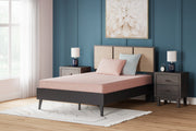 iKidz Coral Twin Mattress and Pillow - Lara FurnitureTwin Mattress and Pillow