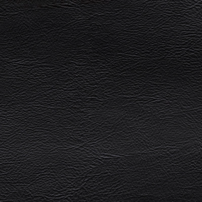 Emilia Black Leather 2-Piece Loveseat