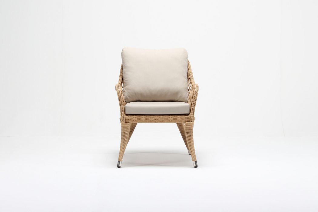 Iris Outdoor Chair With Cushion (Set of 2)