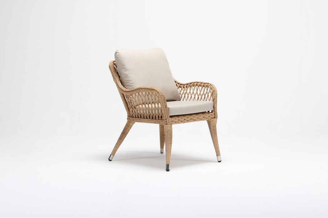 Iris Outdoor Chair With Cushion (Set of 2)