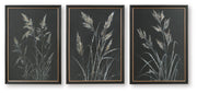 Janisburg Black/White/Brown Wall Art (Set of 3) - A8000561