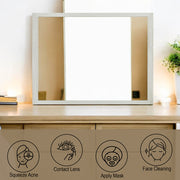 Jehoram Mirror - BD04354