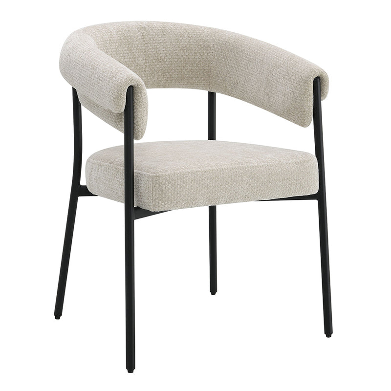 Jirina Arm Chair (Set-2) - DN03676