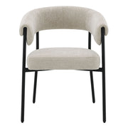 Jirina Arm Chair (Set-2) - DN03676