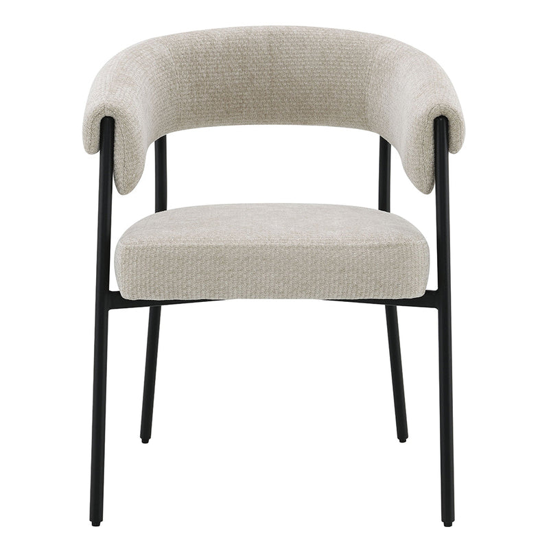 Jirina Arm Chair (Set-2) - DN03676