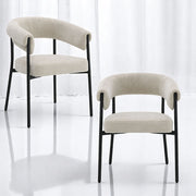 Jirina Arm Chair (Set-2) - DN03676