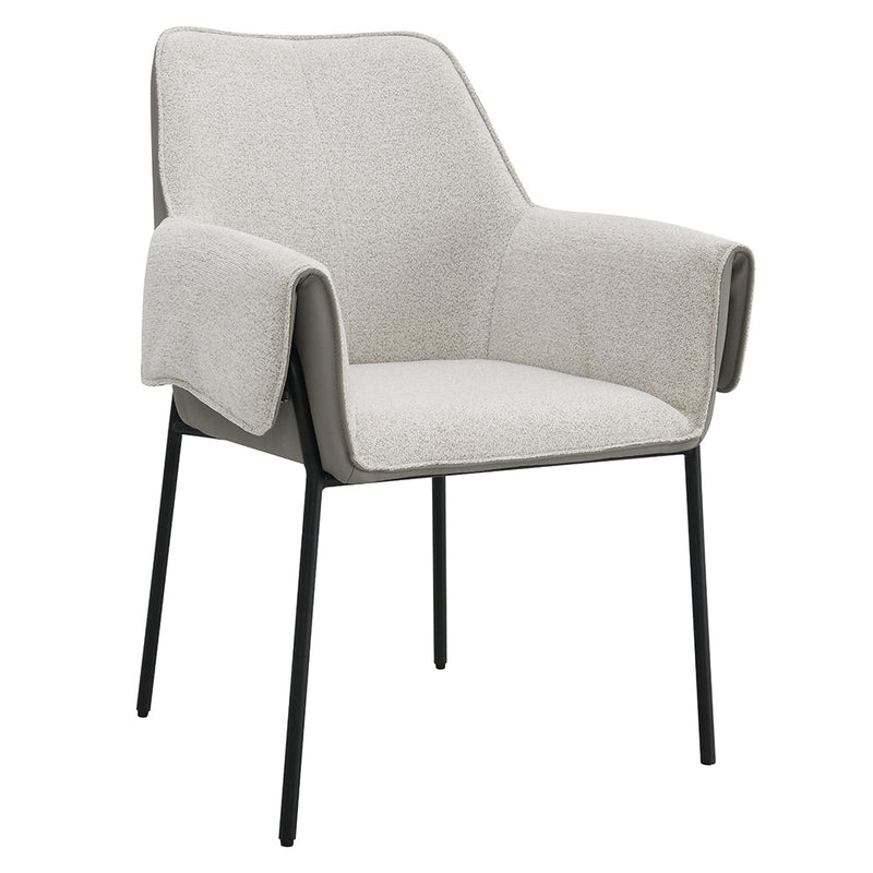 Jirina Arm Chair (Set-2) - DN03678