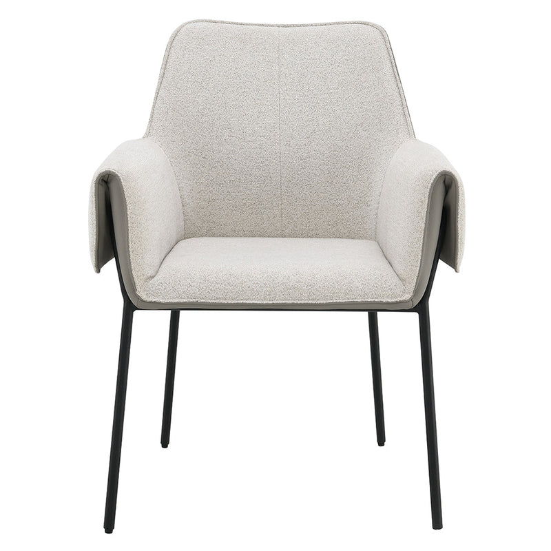 Jirina Arm Chair (Set-2) - DN03678