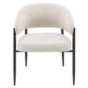 Jirina Arm Chair (Set-2) - DN03679
