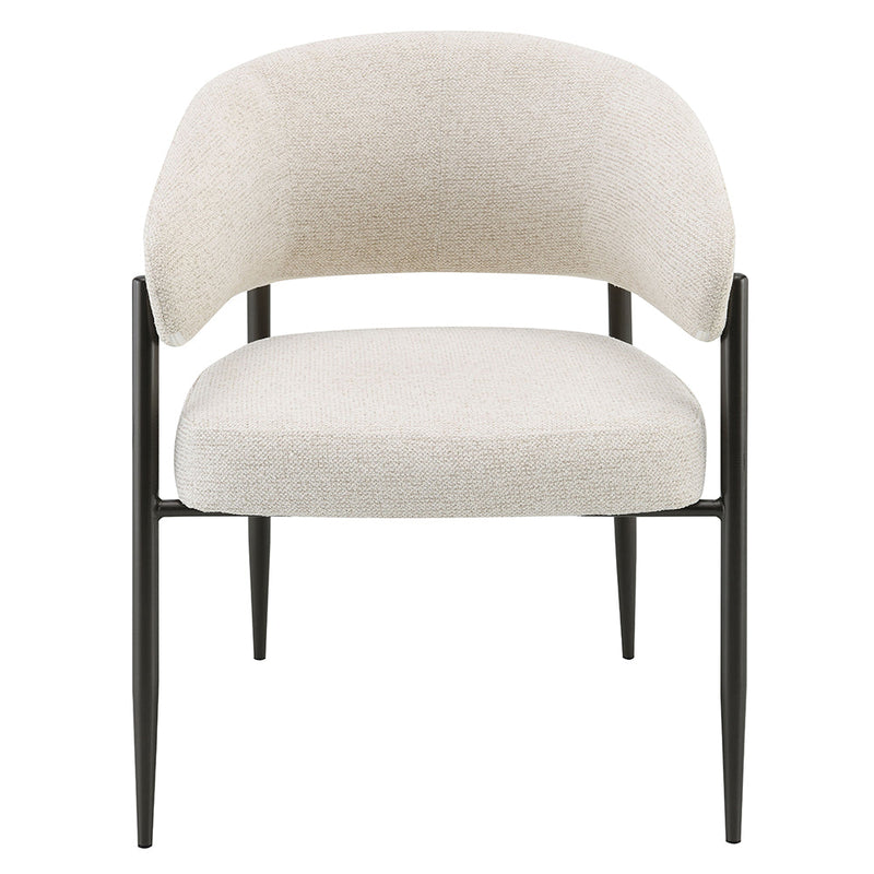 Jirina Arm Chair (Set-2) - DN03679