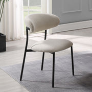 Jirina Side Chair (Set-2) - DN03677