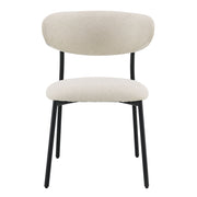 Jirina Side Chair (Set-2) - DN03677