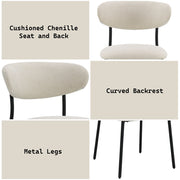 Jirina Side Chair (Set-2) - DN03677