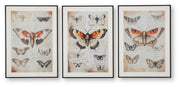 Jossletts Orange/Black/Ivory Wall Art (Set of 3) - A8000490
