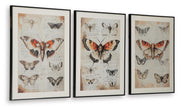 Jossletts Orange/Black/Ivory Wall Art (Set of 3) - A8000490