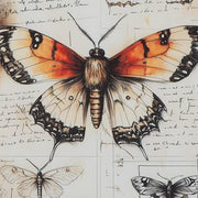 Jossletts Orange/Black/Ivory Wall Art (Set of 3) - A8000490