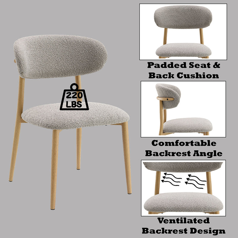 Kacey Side Chair (Set-2) - DN03716