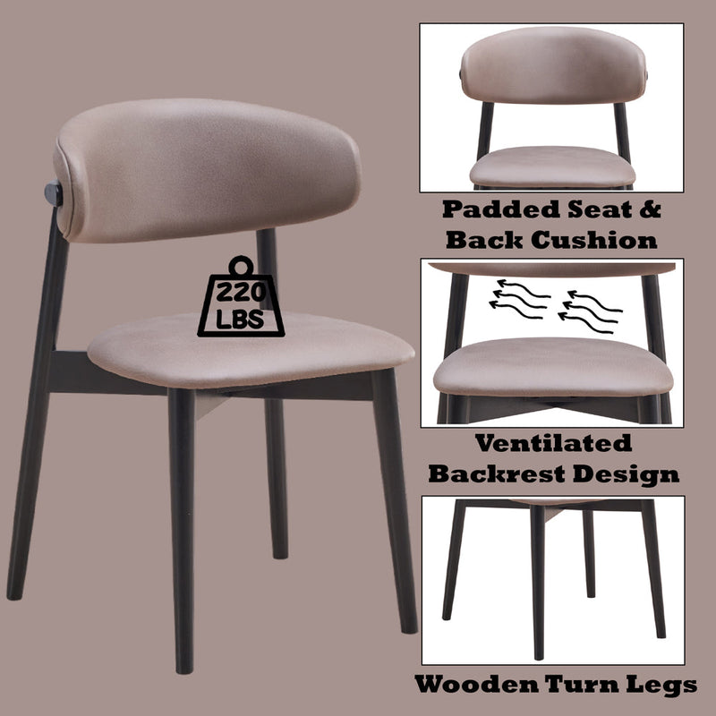 Lanae Side Chair (Set-2) - DN02365