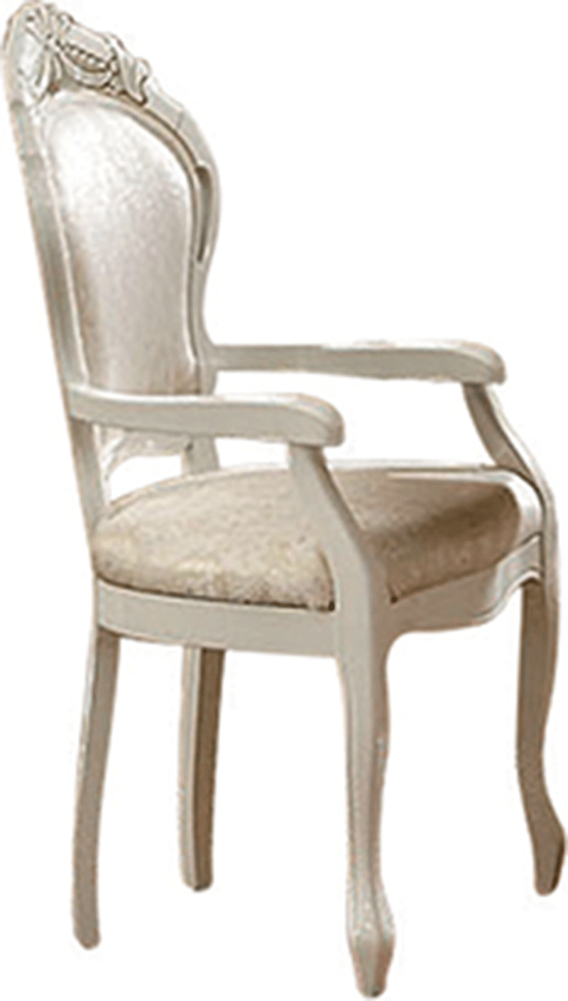 Leonardo Arm Chair - Lara FurnitureDining Chair