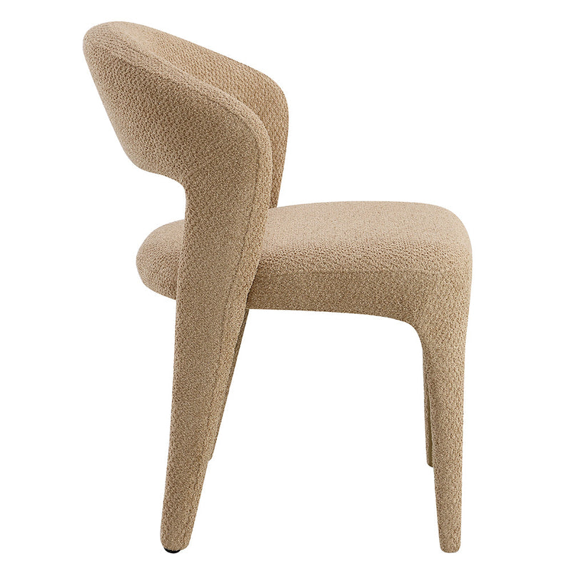 Lidi Side Chair (Set-2) - DN04757