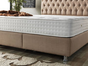 Lima Chair Cream in Cream - 101-LIM-CREAM-B