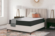 Limited Edition Firm Queen Mattress - Lara FurnitureQueen Mattress