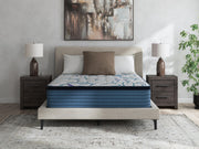 Limited Edition Plush PT 3.0 White Twin XL Mattress - M45271