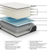 Limited Edition Plush Queen Mattress - Lara FurnitureQueen Mattress