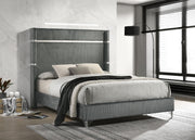 Lucia 61-inch Upholstered Queen Wingback Bed Grey - 224991Q