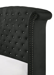 Lucinda Black Queen Upholstered Wingback Panel Bed - Lara FurnitureQueen Bed